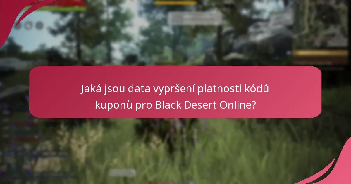 Na jaké typy předmětů lze uplatnit kódy kuponů pro Black Desert Online?
